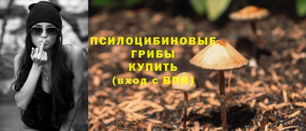сатива Арсеньев