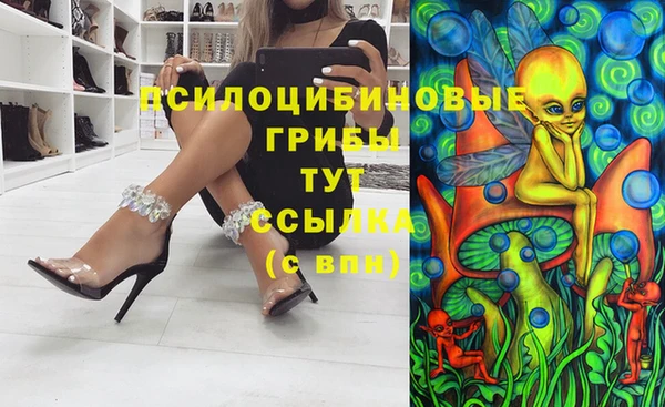 сатива Арсеньев