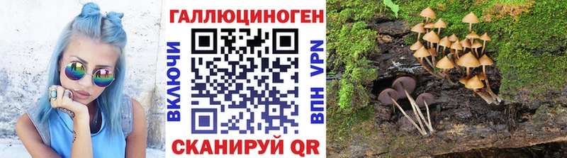 Галлюциногенные грибы ЛСД  где купить   Суворов 